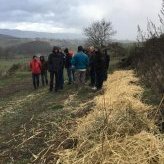 Formation Haie : planter, entretenir et valoriser les haies sur mon exploitation - JPEG - 145.2 ko (nouvelle fenêtre)