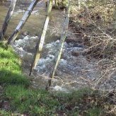 Clôture suspendue sur la Gimond de Chazelles - JPEG - 136.4 ko