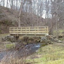 la Coise a Larajasse passerelle Bouteille