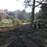 Abattages préalables au chantier - JPEG - 421.1 ko (nouvelle fenêtre)