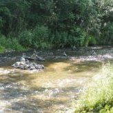 Tas de cailloux sur la Coise au bois Barou - JPEG - 74.2 ko