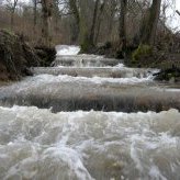 Passe à poisson sur le Bilaize à St Denis sur Coise - JPEG - 96.7 ko