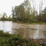 Débordement de la Coise au bois Barou à St Galmier - JPEG - 108.7 ko