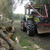 Travaux d'abattage sur le petit Volvon à Veauche - JPEG - 533 ko