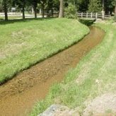 Juin 2012 : vue du site après plantation des macrophytes - JPEG - 34.9 ko