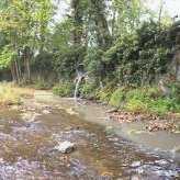 Rejet eaux usees dans tuyau eau pluviale - JPEG - 127.6 ko