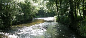  La Coise au bois Barou à St Galmier - JPEG - 16.4 ko