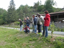  Visite des aménagements en mai 2011 - JPEG - 27.8 ko