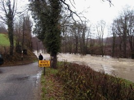  La Coise à Chazelles sur Lyon en aval du Moulin Brulé - JPEG - 23.8 ko