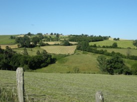  Monts du lyonnais à Chevrières - JPEG - 19.8 ko