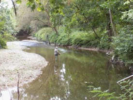  Pêcheur sur la Coise - JPEG - 25.6 ko